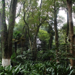 武汉植物园