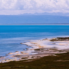 青海湖鸟岛 景点模块
