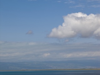 青海湖鸟岛
