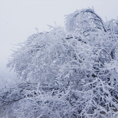 牛背山