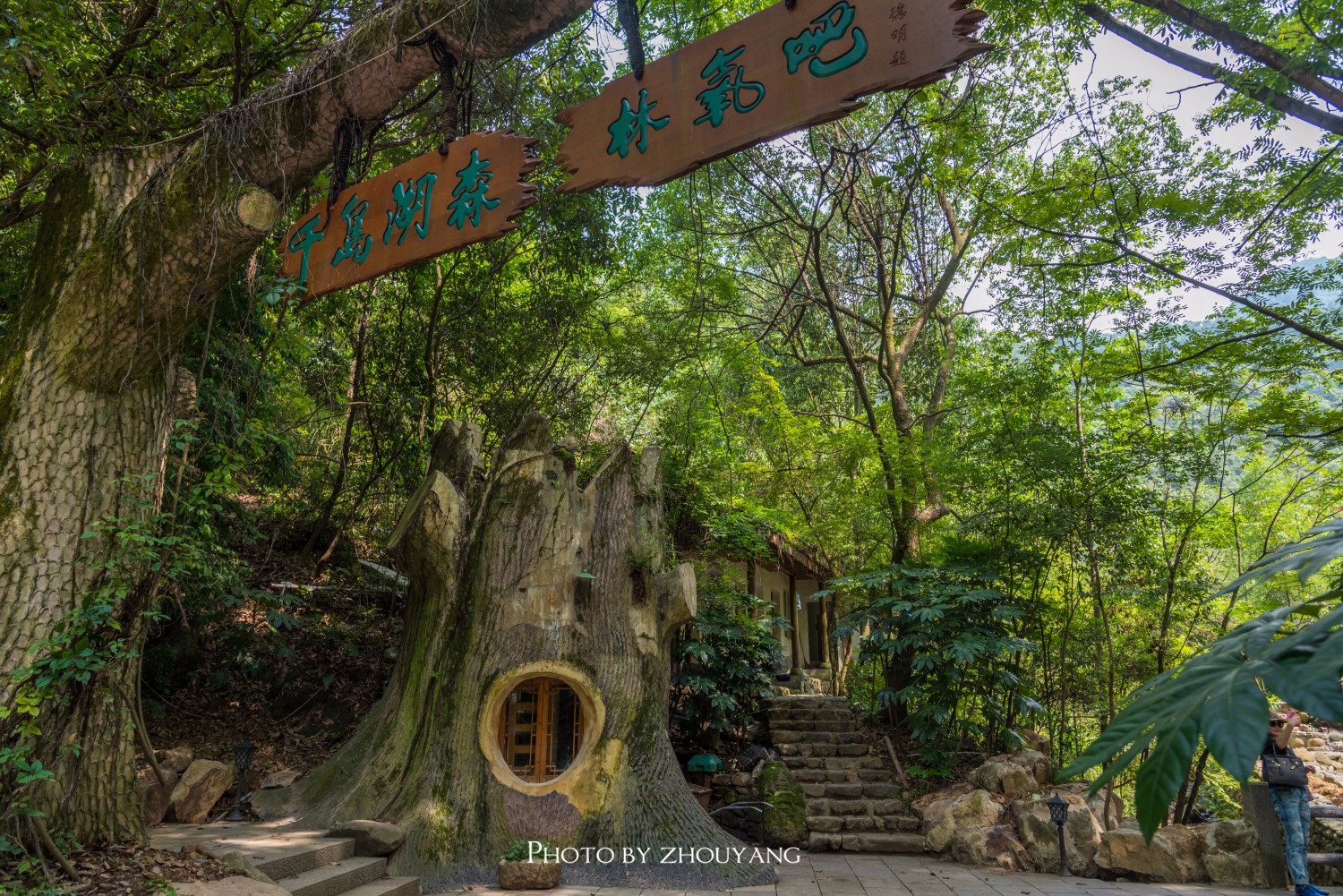 千岛湖东南湖区边缘,拥有千岛湖甚好的森林植被,自然风光和生态环境