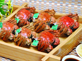 泰州凤城河画舫