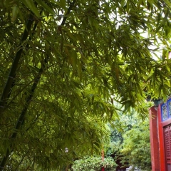 相国寺