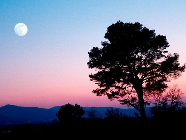 中秋赏月目的地推荐