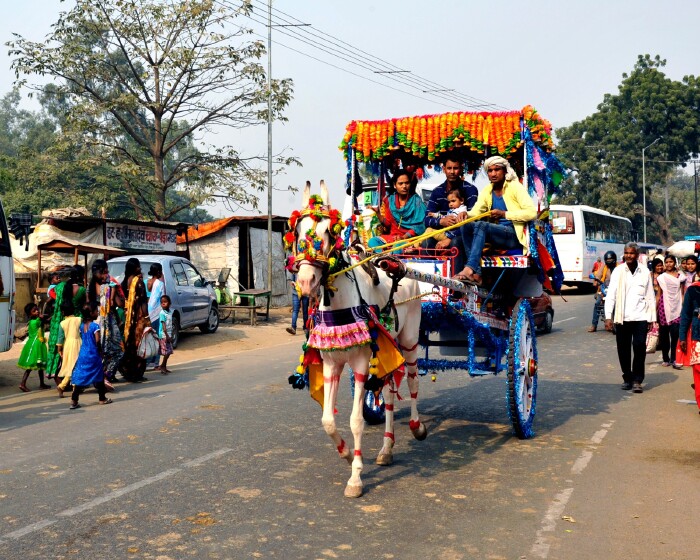 图说印度——印度旅游全纪录