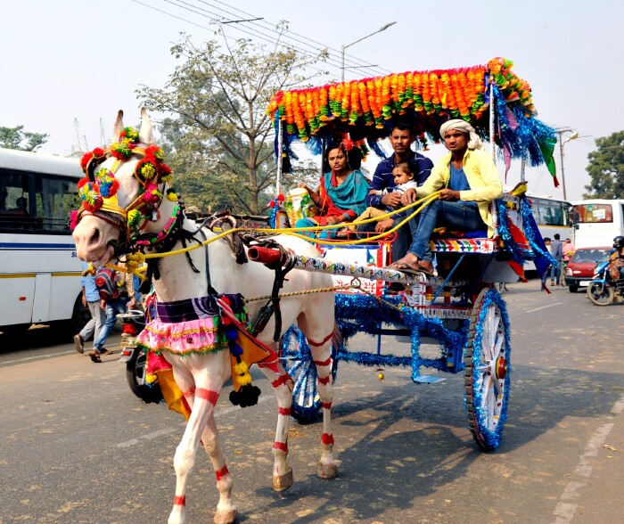 图说印度——印度旅游全纪录