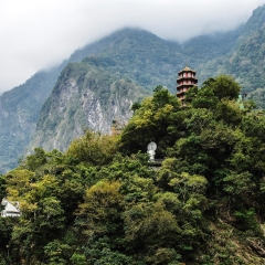 92_武陵山国家森林公园