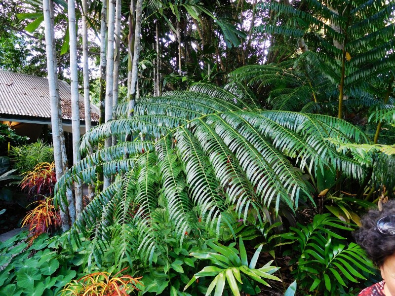 在大洋洲旅行,感受人与自然合谐相处的快乐