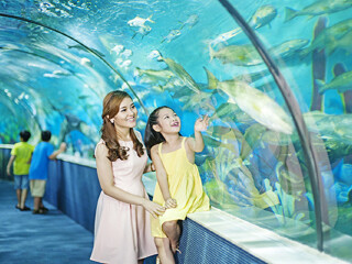 喜来登富国岛长滩度假村