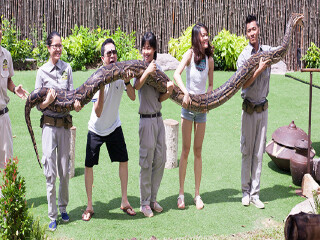 喜来登富国岛长滩度假村