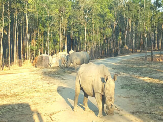 喜来登富国岛长滩度假村