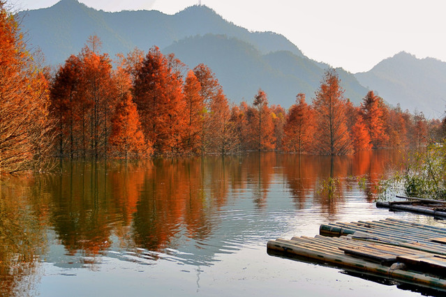 隱世寧國,藏不住的靈秀與俊美