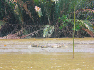 乌鲁淡布隆国家公园