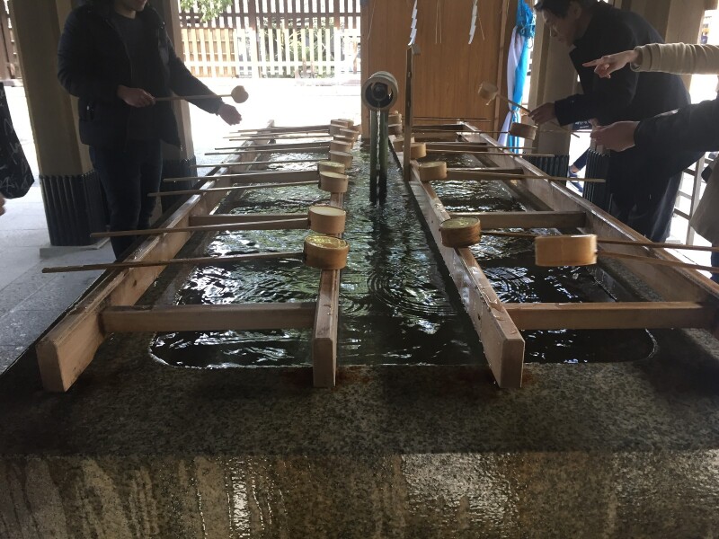 3月5:40-17:20 大门,道宽,树多 进去前要洗手,像农村的井水,凉