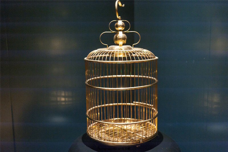 过夜色之后,拖着疲惫的身子回房间, 门口摆放的金鸟笼吸引了我的目光