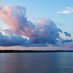 rad600-06170299