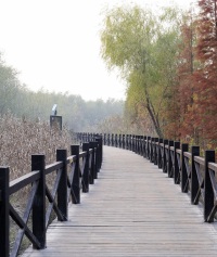 景点图片