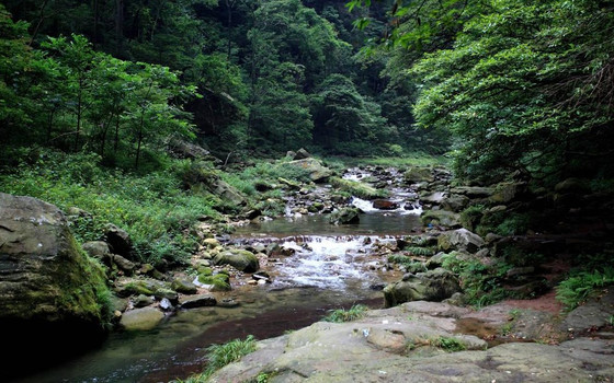  地址:湖南省張家界市慈利縣