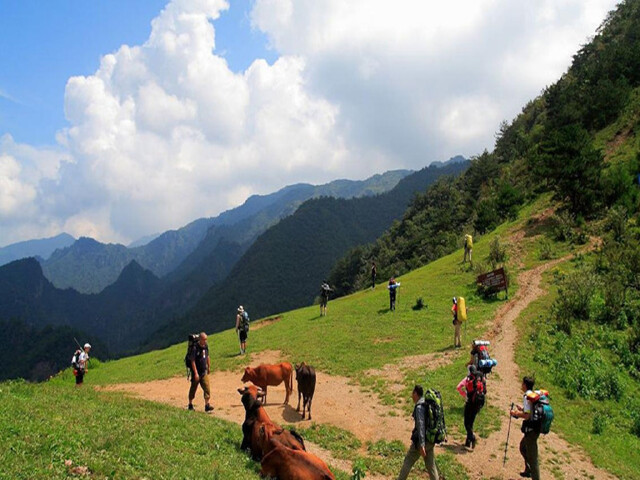 徽杭古道2日游>户外轻徒步,初驴休闲体验,含3正1早