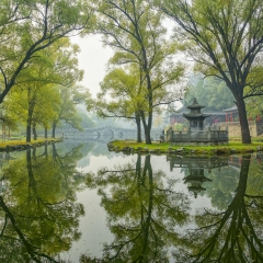潍坊