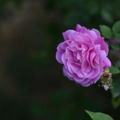 毕节