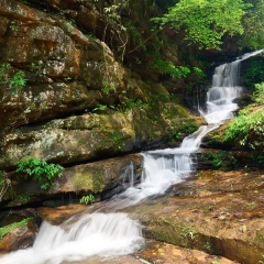 小交通模块 