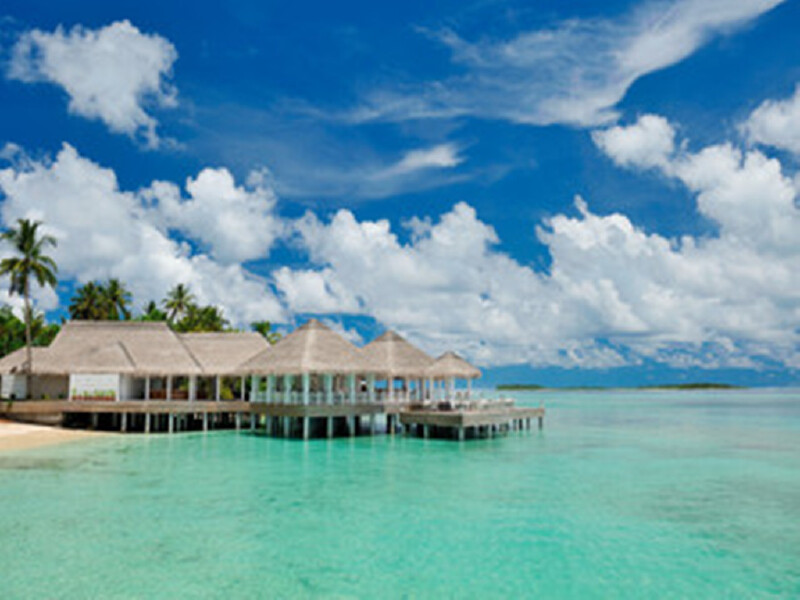 定优惠 仅限6位 十城联运 维力督\/库拉玛提\/阿玛