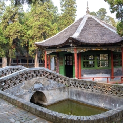 南阳