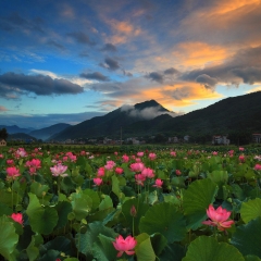 菏泽