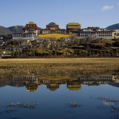 迪庆