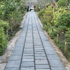 镰仓
