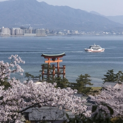 景点模块 
