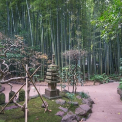 神奈川县