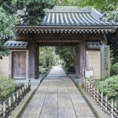 镰仓