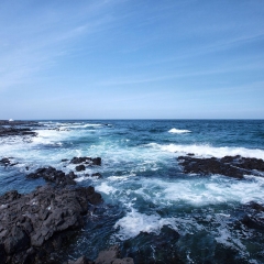 济州岛