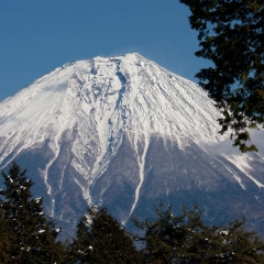 富士宫
