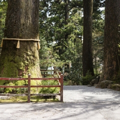 箱根
