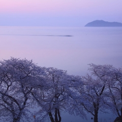 岛原