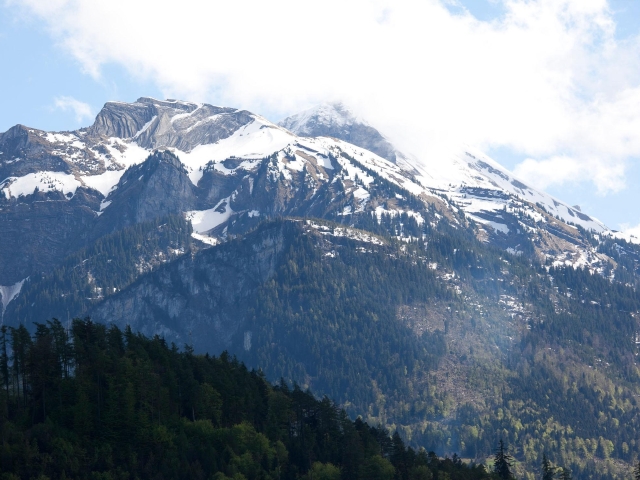 捷克奥地利+德法意瑞6国12日游 东西欧连线,全