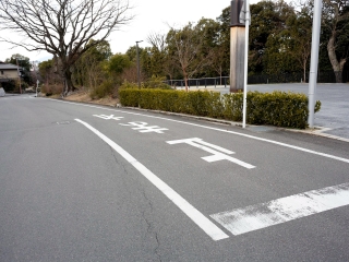 滨松
