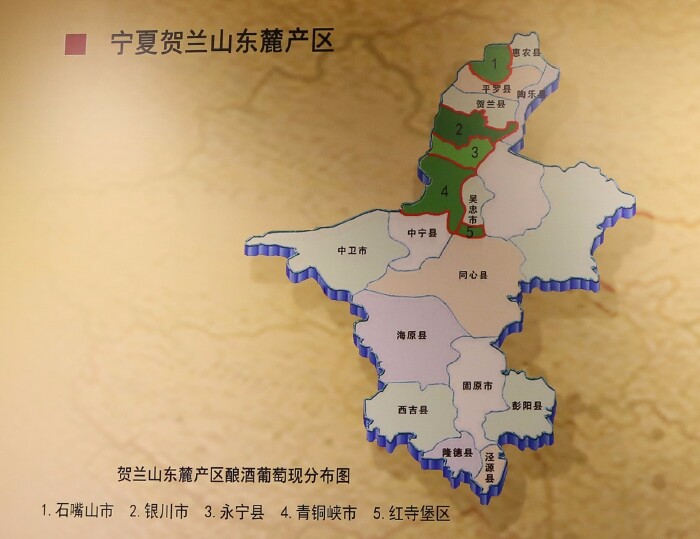 博物馆分为五大区域:宁夏贺兰山东麓葡萄酒展区,世界葡萄酒展区,中国