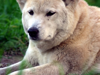 翎羽谷野生动物园