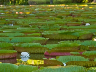 庞普勒穆斯区议会大厦