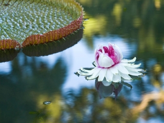 庞普勒穆斯区议会大厦