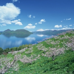 景点模块 