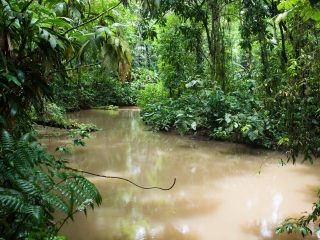 西双版纳雨林谷