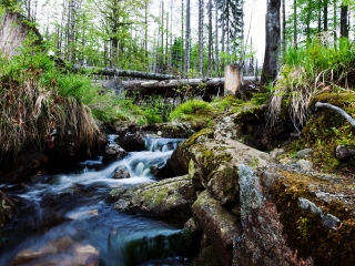 贝希特斯加登国家公园