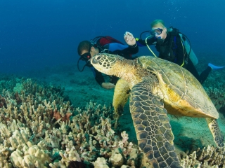 海盗吧潜水中心