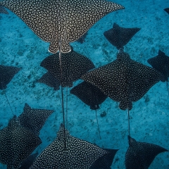 海底世界