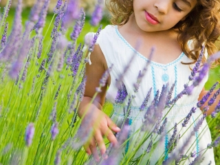 小蚂蚁薰衣草儿童农庄